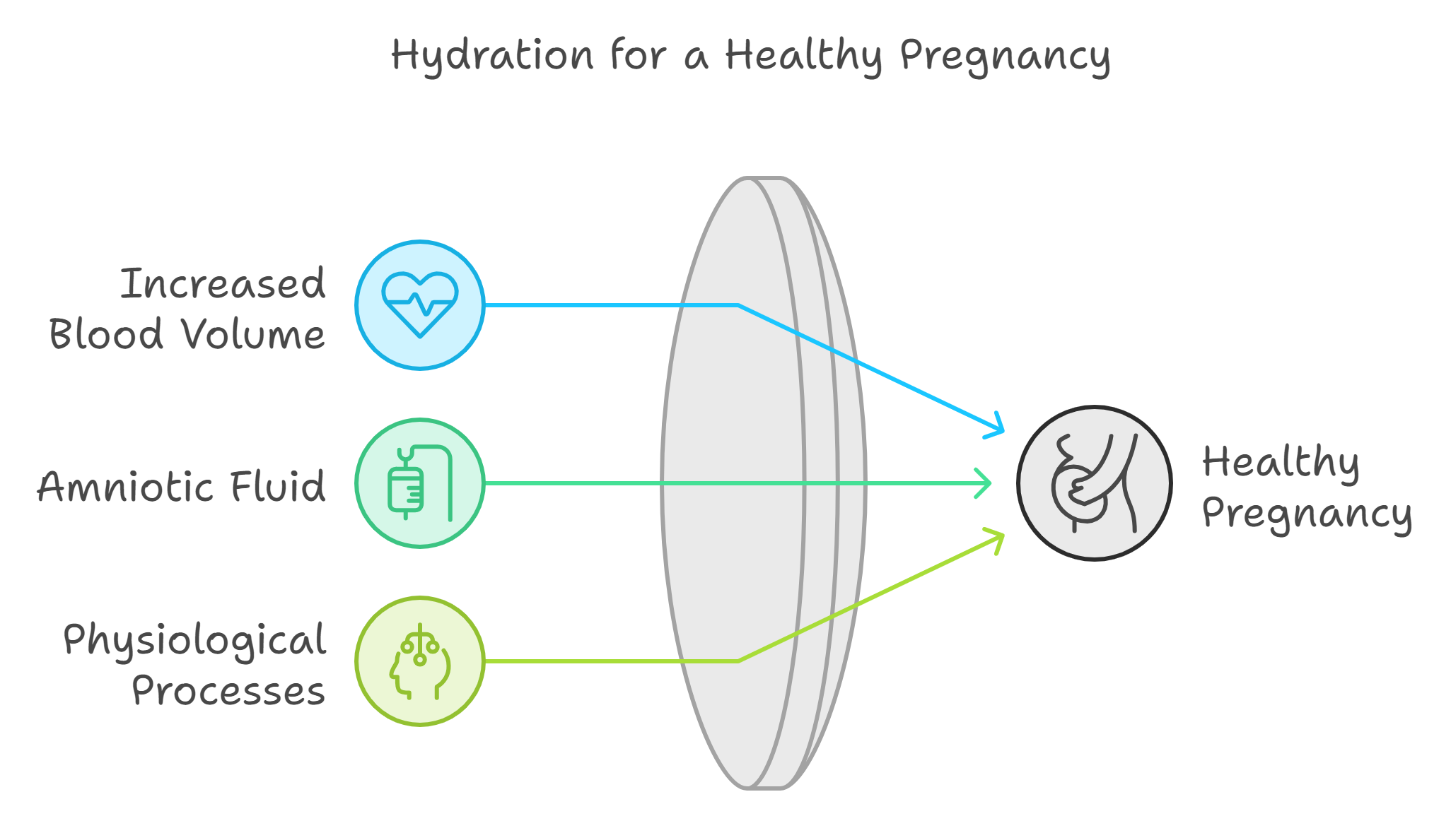 Hydration Needs During Pregnancy