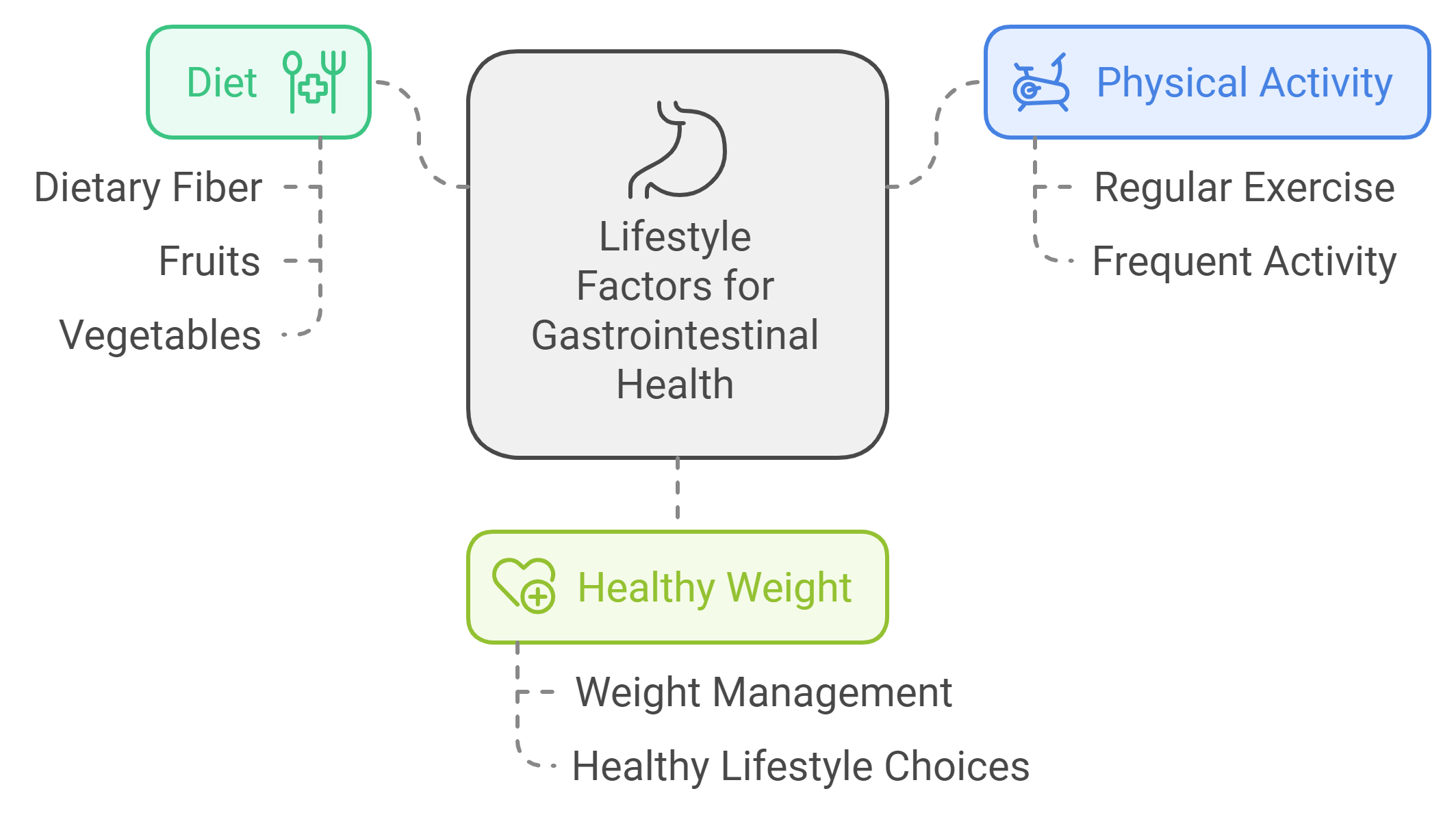 Lifestyle Factors of Creatine Cause Constipation