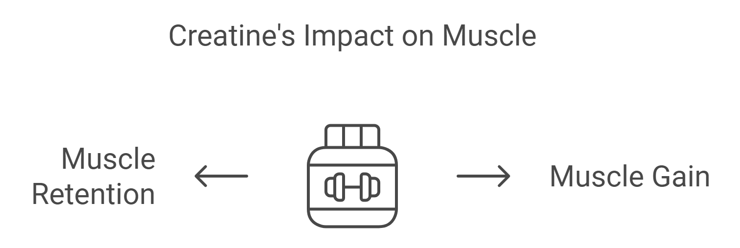 The Creatine’s Impact On Health without Exercising