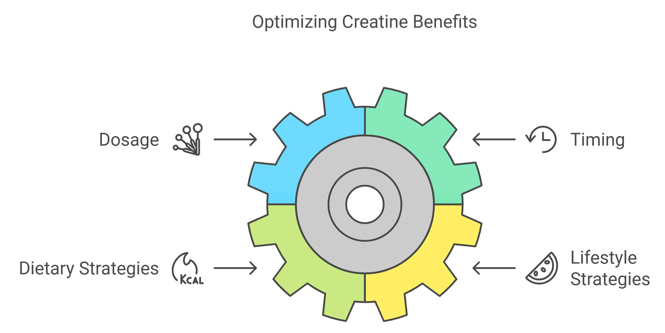 Increasing Creatine Intake and Exploiting Creatine Performance.