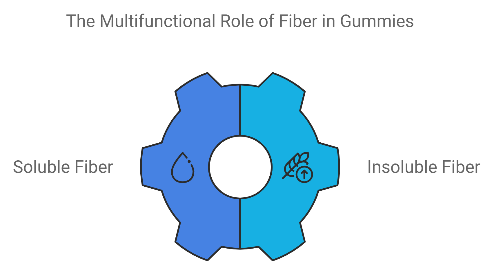 Soluble vs. Insoluble Fiber: Unveiling the Controversy