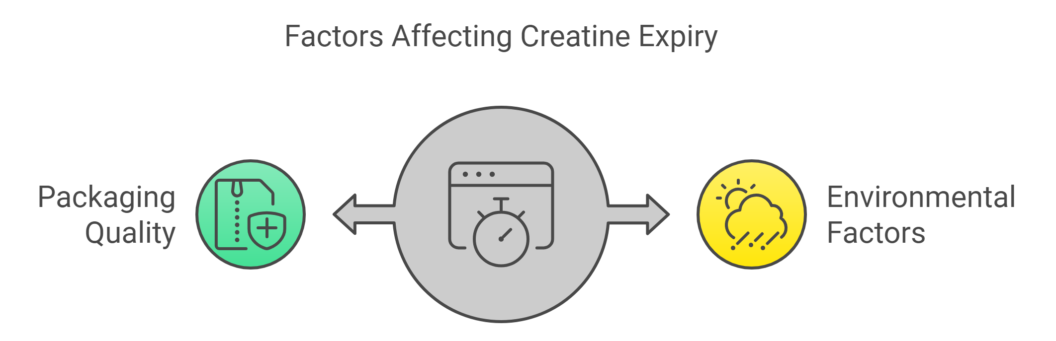 Factors That Determine the Expiry Date of Creatine