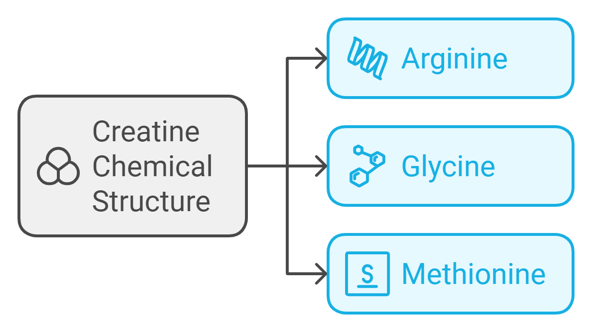 Understanding Creatine Shelf Life