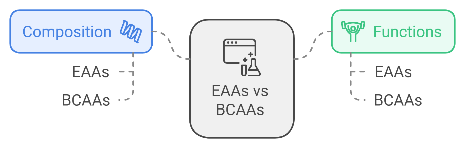 The Debate: EAAs vs BCAAs