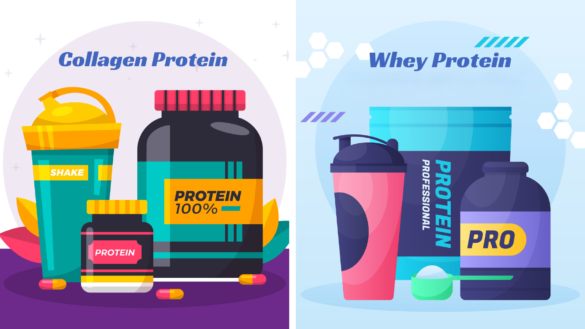 collagen protein vs whey protein