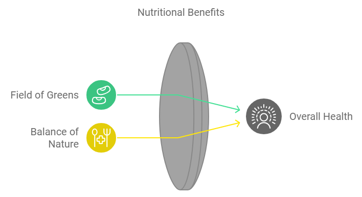 Vitamins and Minerals