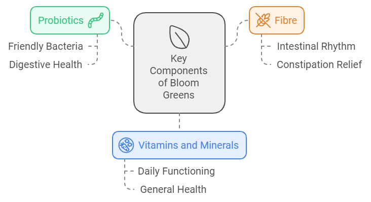 Key Components of Bloom Green