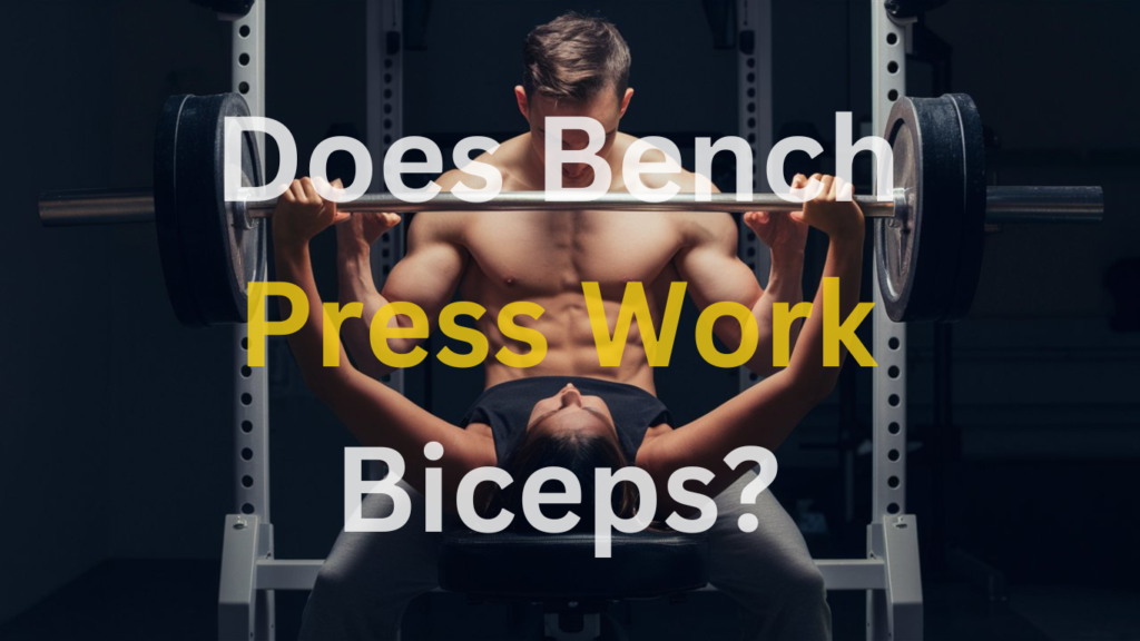 Does Bench Press Work Biceps?
