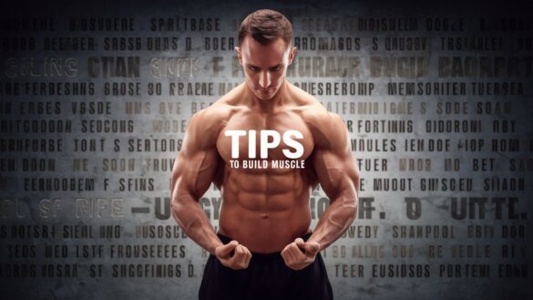 Build muscle know tips to increase muscles