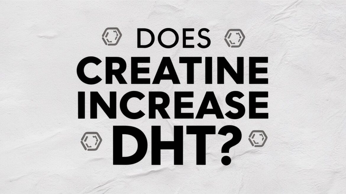 does creatine increase dht