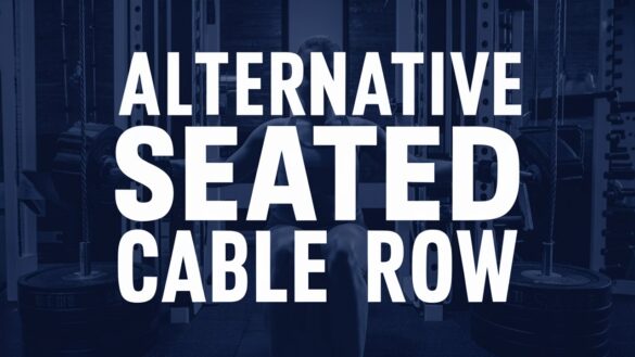 alternative seated cable row