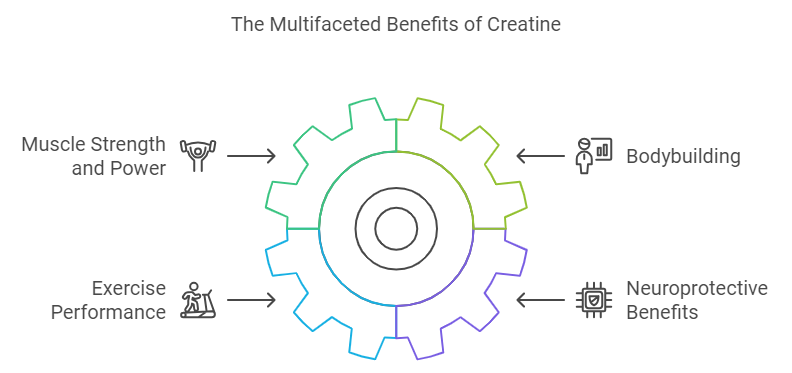 Benefits of Creatine