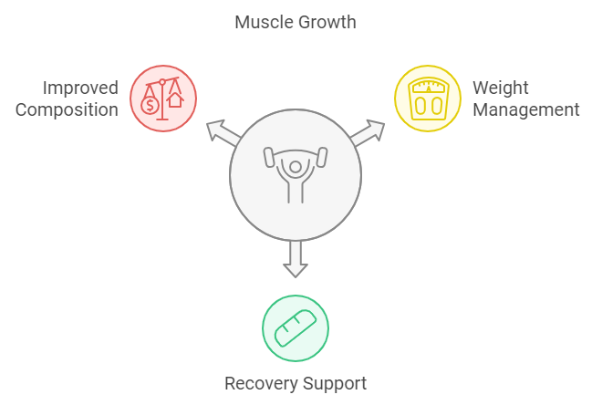 Benefits of Whey protein 