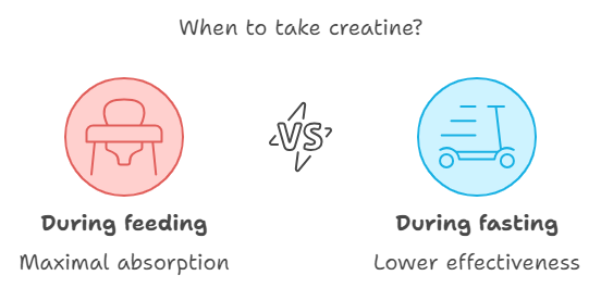 How to Use Creatine While Fasting: Practical Tips