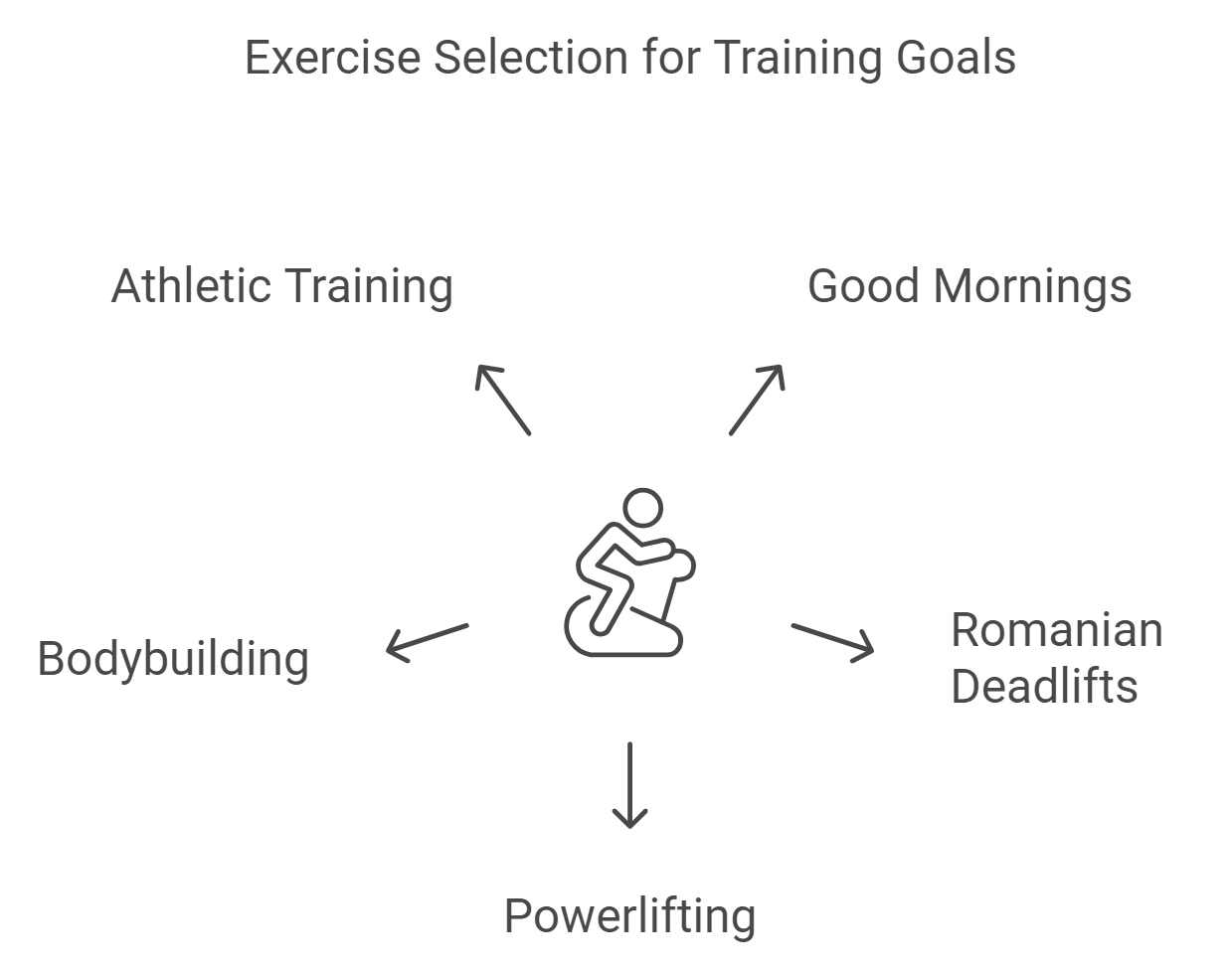 When to Use Good Mornings vs Romanian Deadlifts