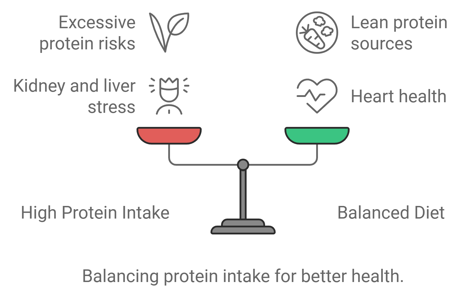 Possible Disadvantages of High Protein Diets