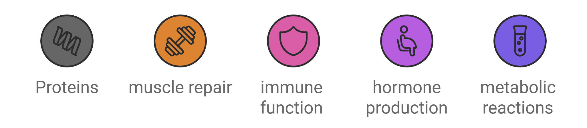 Protein’s Biological Functions