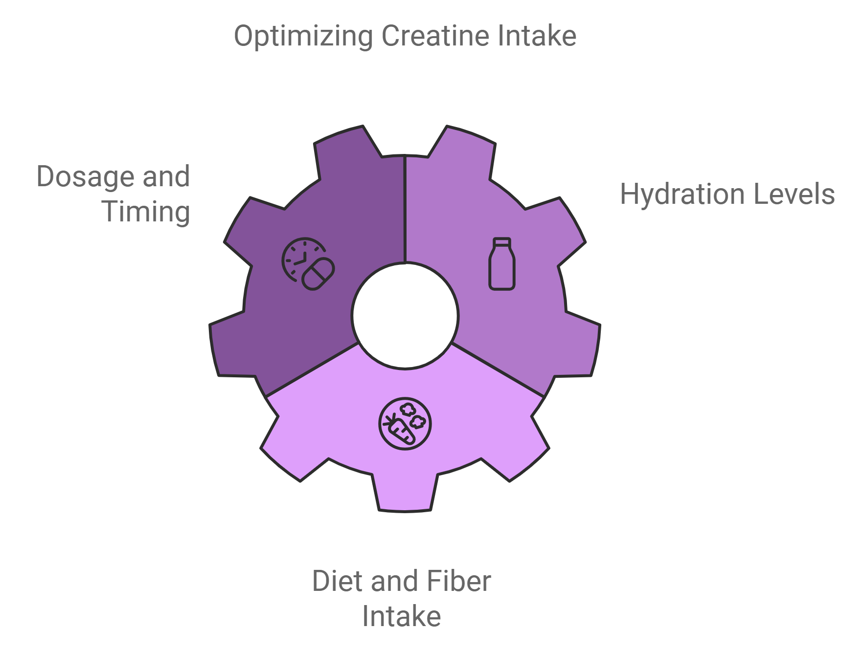 Factors Affecting Digestive Response