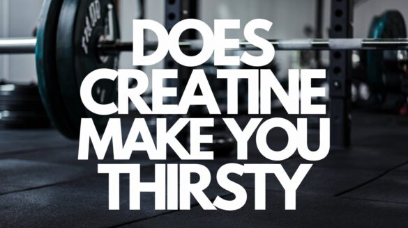 e:https://ibb.co/VjjNXkK