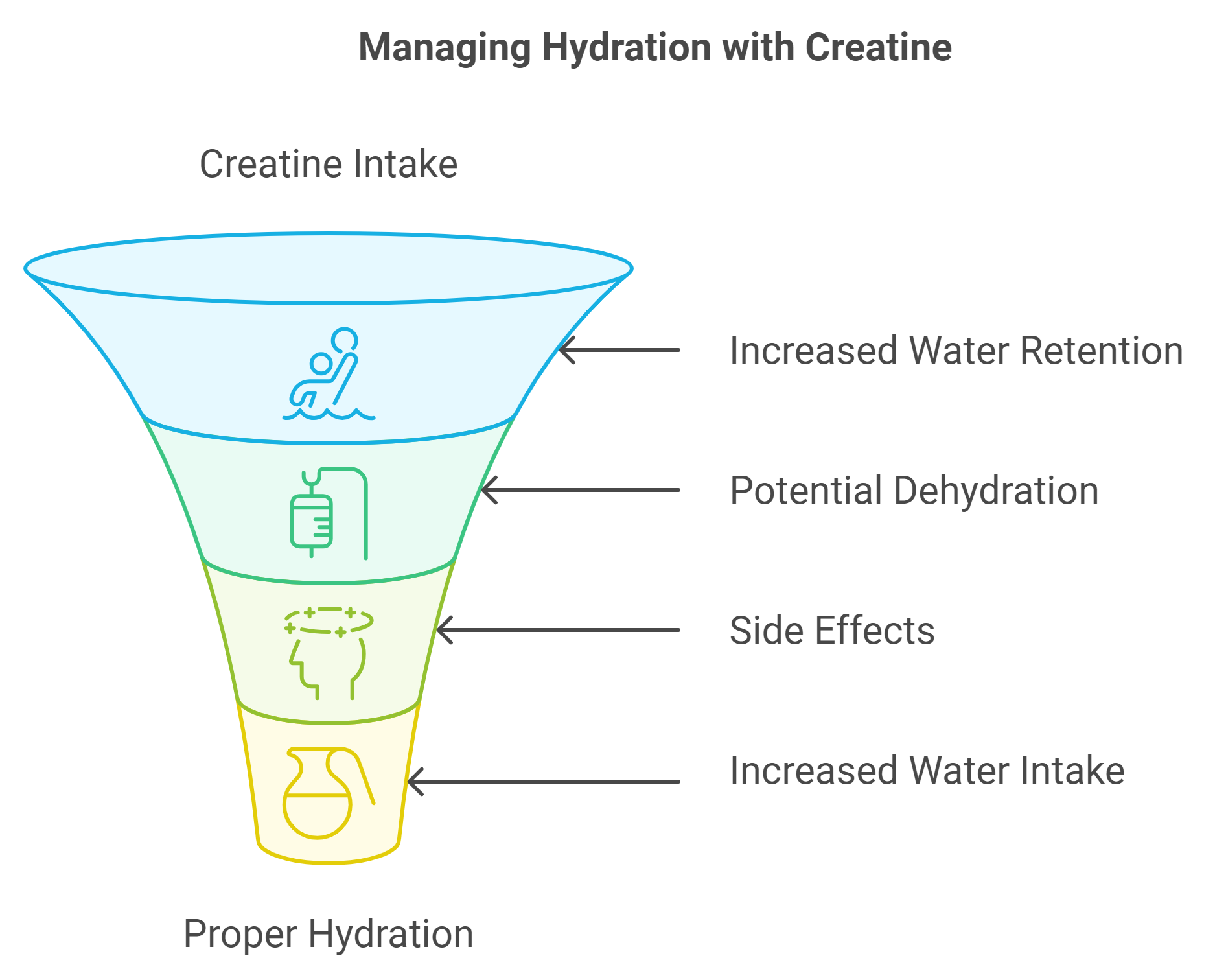 Hydration and Creatine: Understanding the Connection