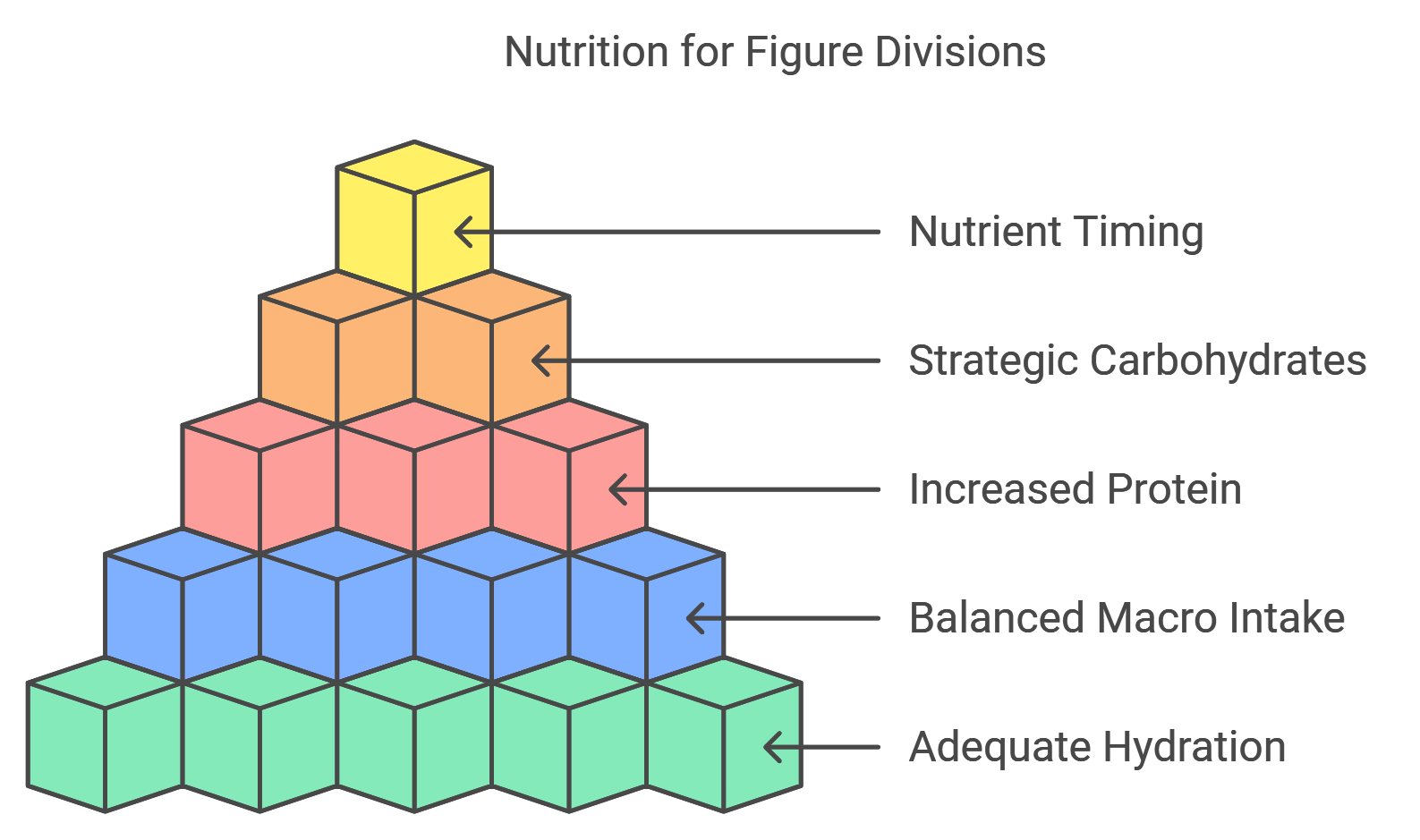 Diet and Nutrition: Fueling for Figure Divisions