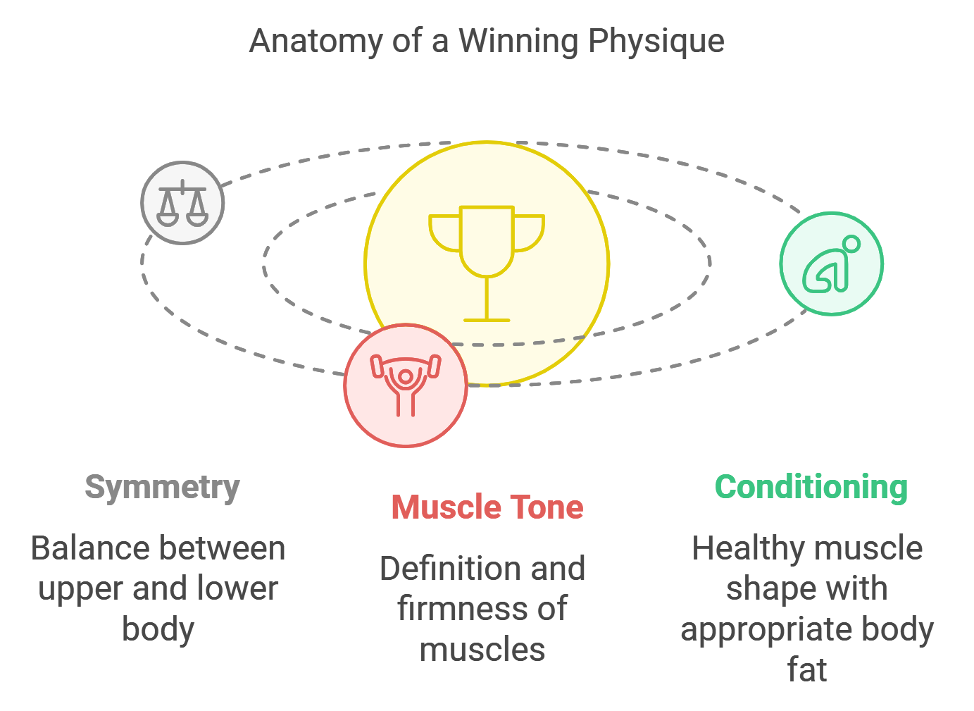 Judging Criteria: Balance, Proportion, and Conditioning