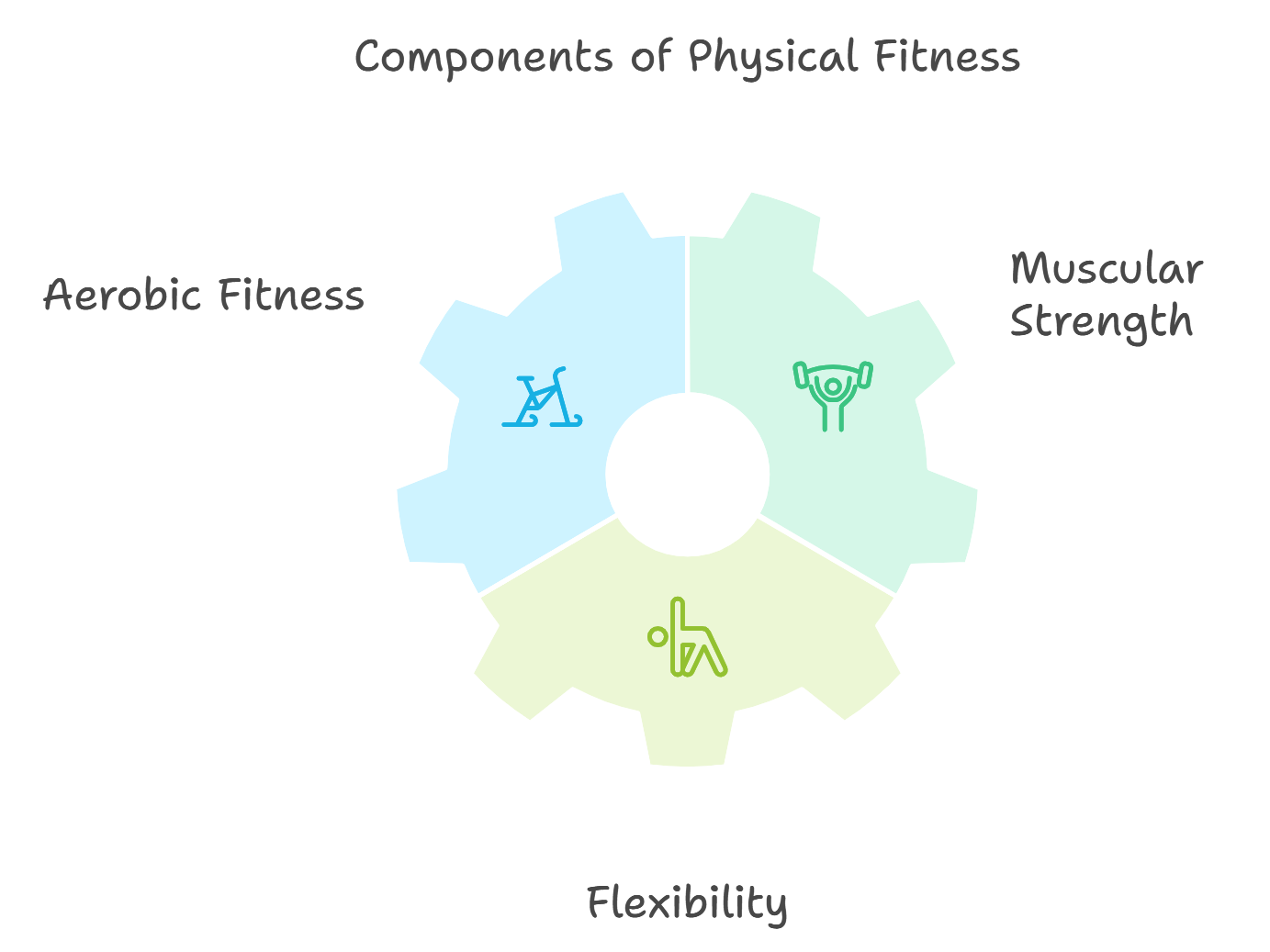 Components of Physical Fitness