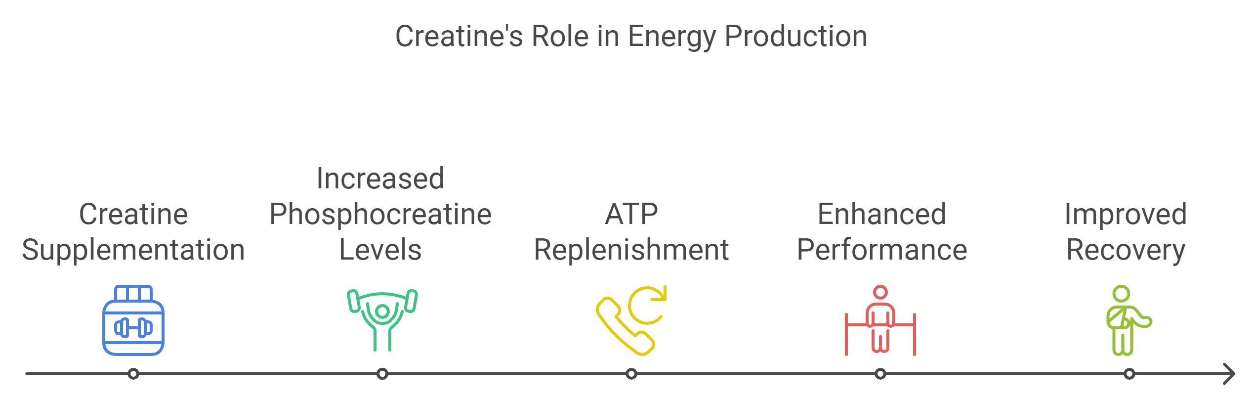 How Does Creatine Work with Energy Production?