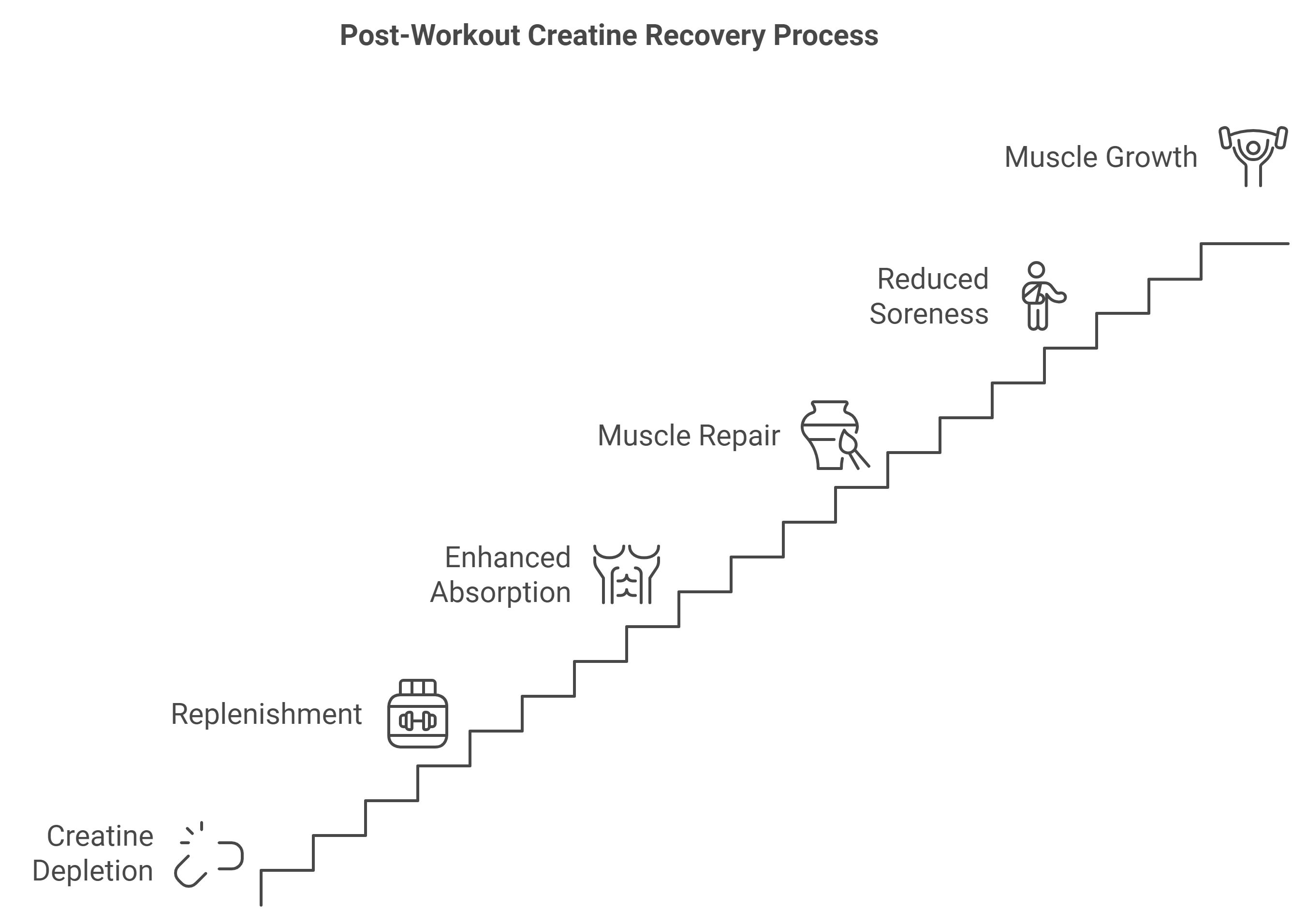 Post-Workout Creatine: Recovery Effects