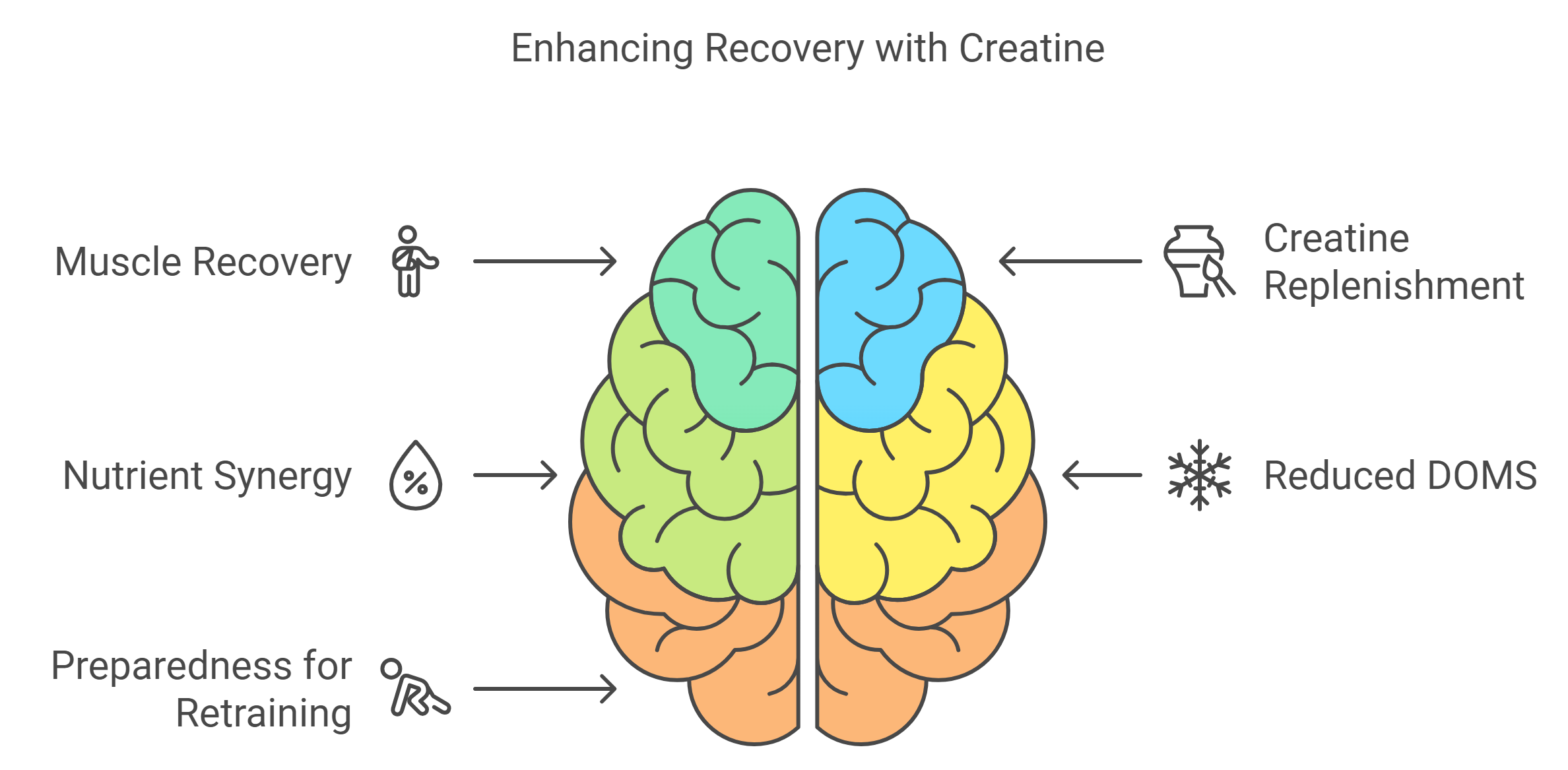 Post-Workout Creatine: Benefits for Recovery