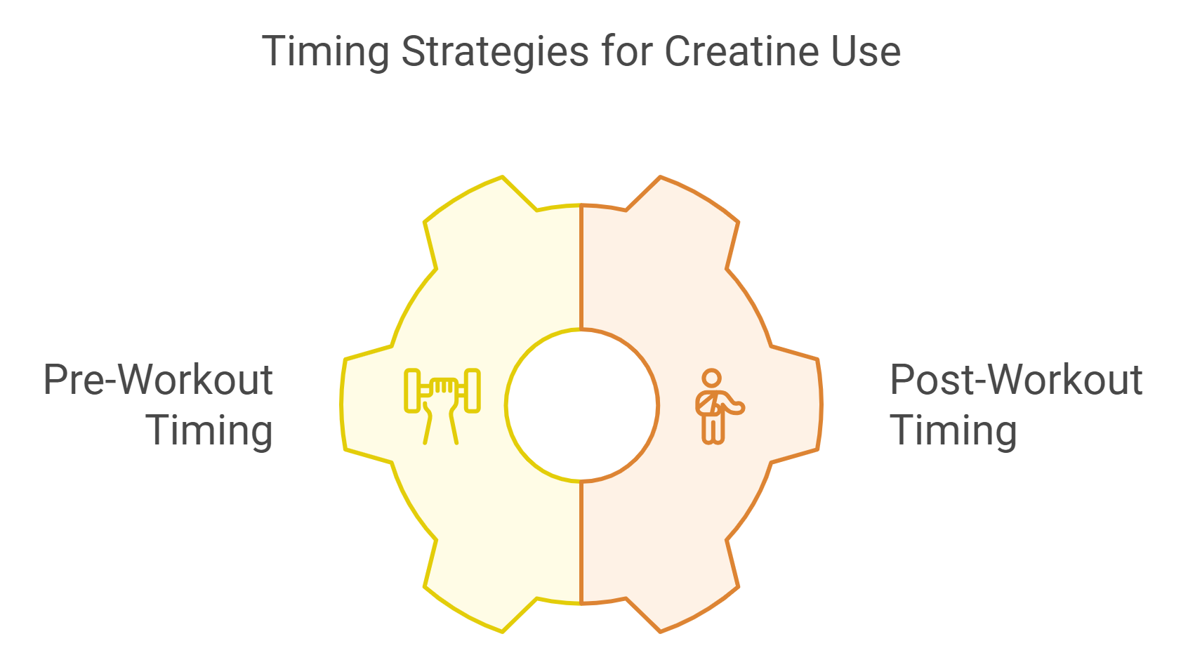 Optimal Timing for the Use of Creatine