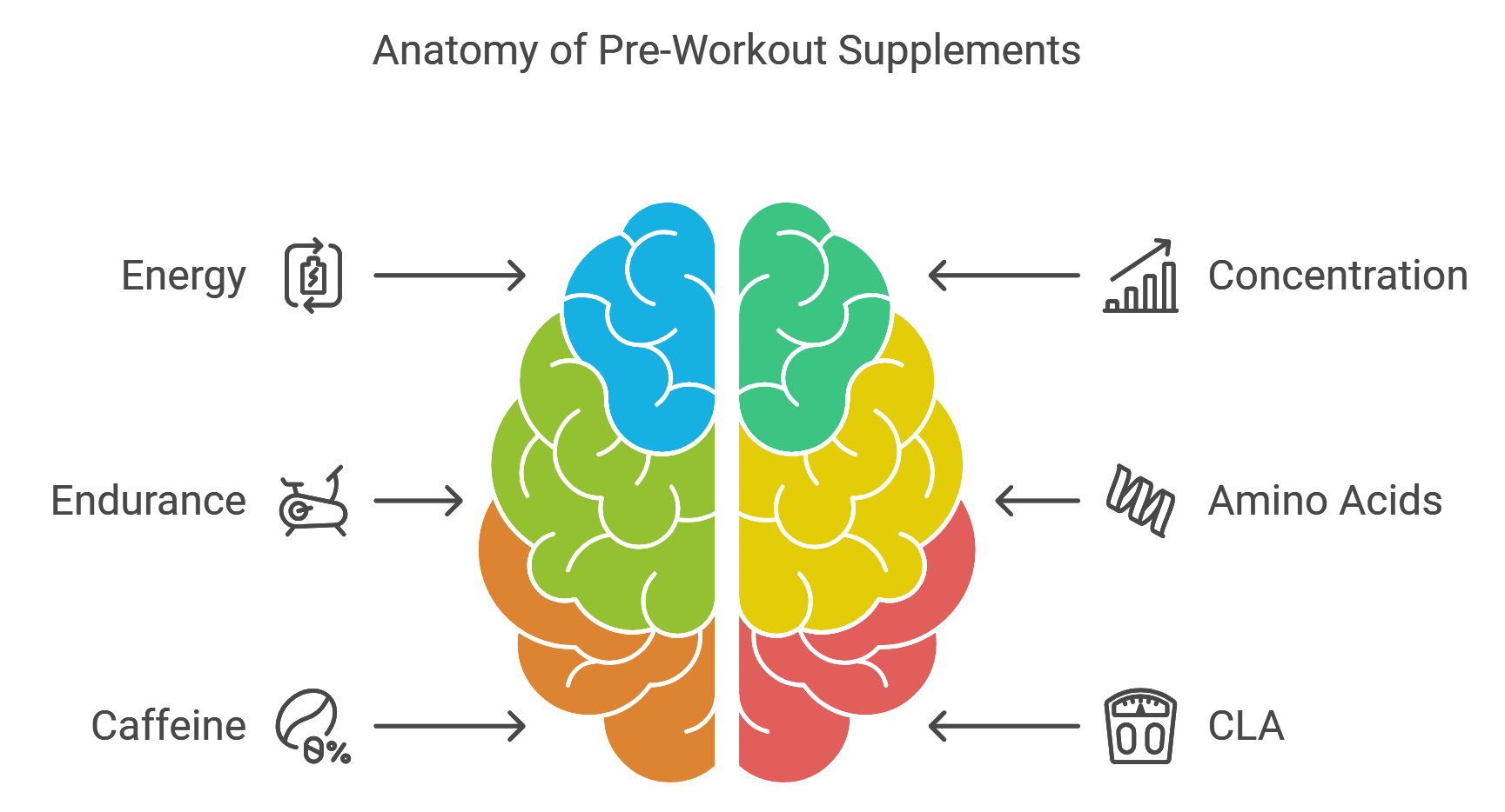 Understanding Basics of Pre-Workout Supplements