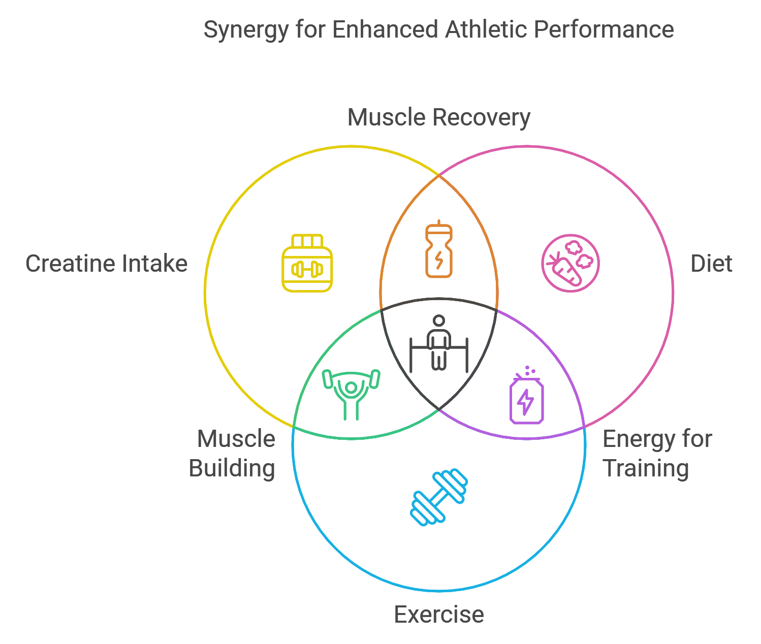 Maximizing the Effects of Creatine