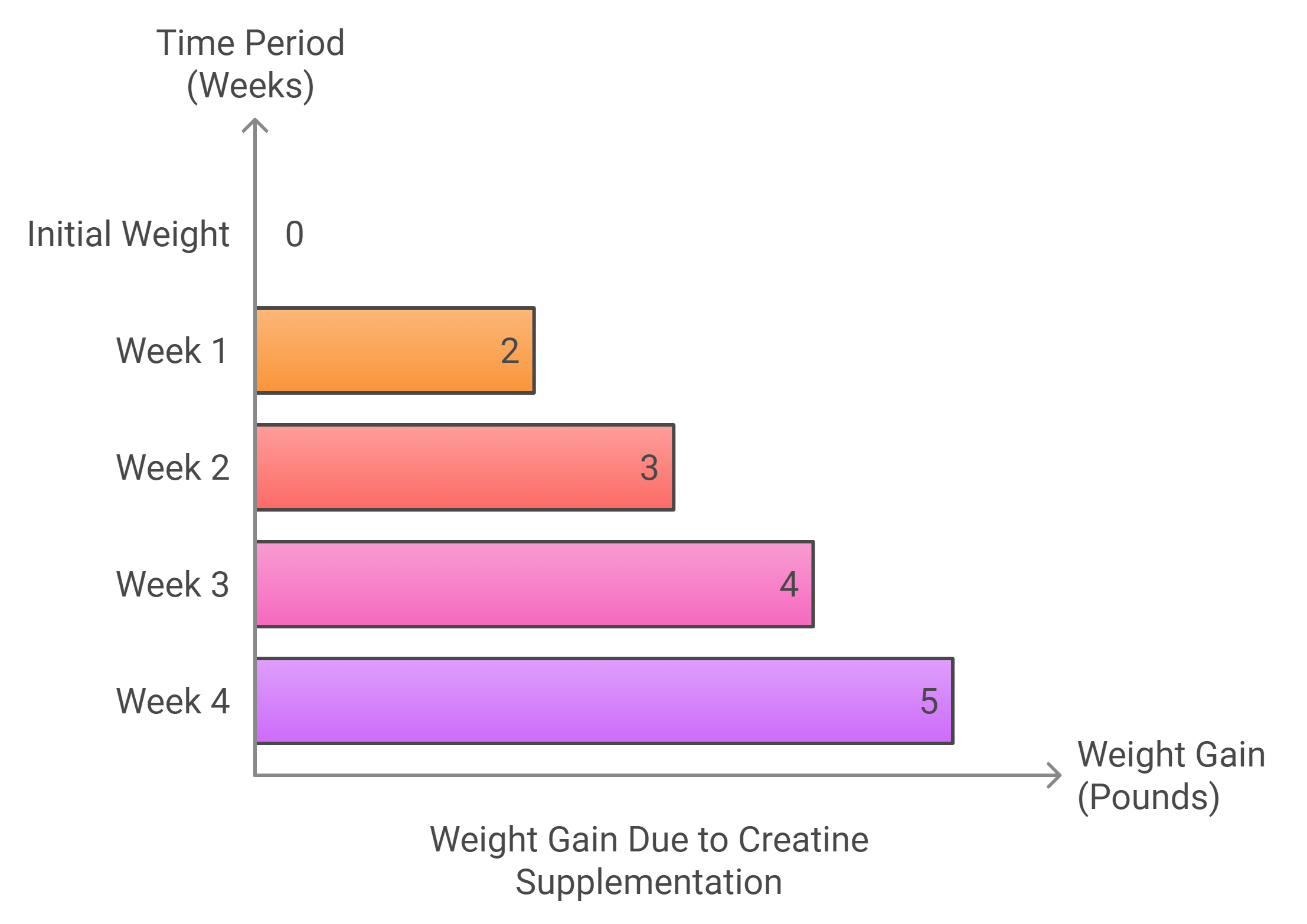 Impact of water retention on body weight and performance