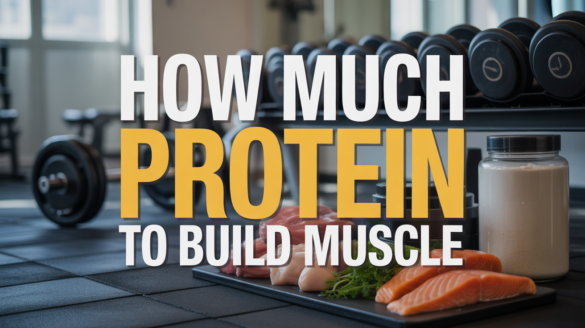 Muscle-Building Protein Intake
